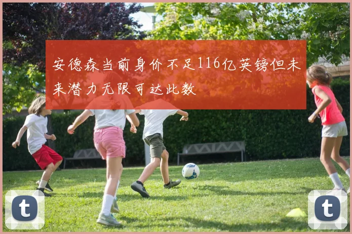 安德森当前身价不足116亿英镑但未来潜力无限可达此数